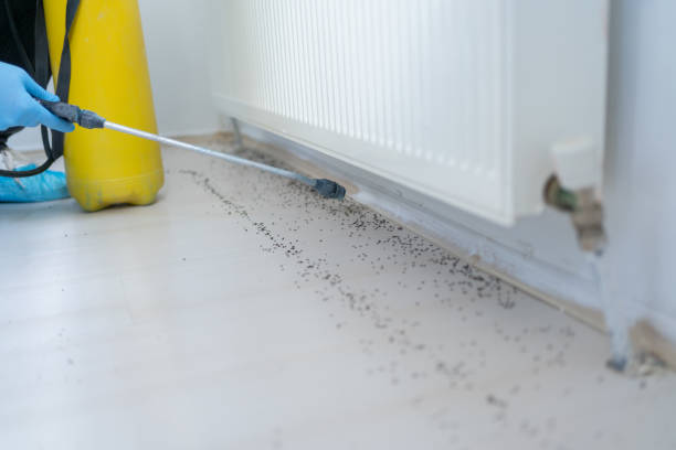 Best Pest Prevention Services  in Beckley, WV